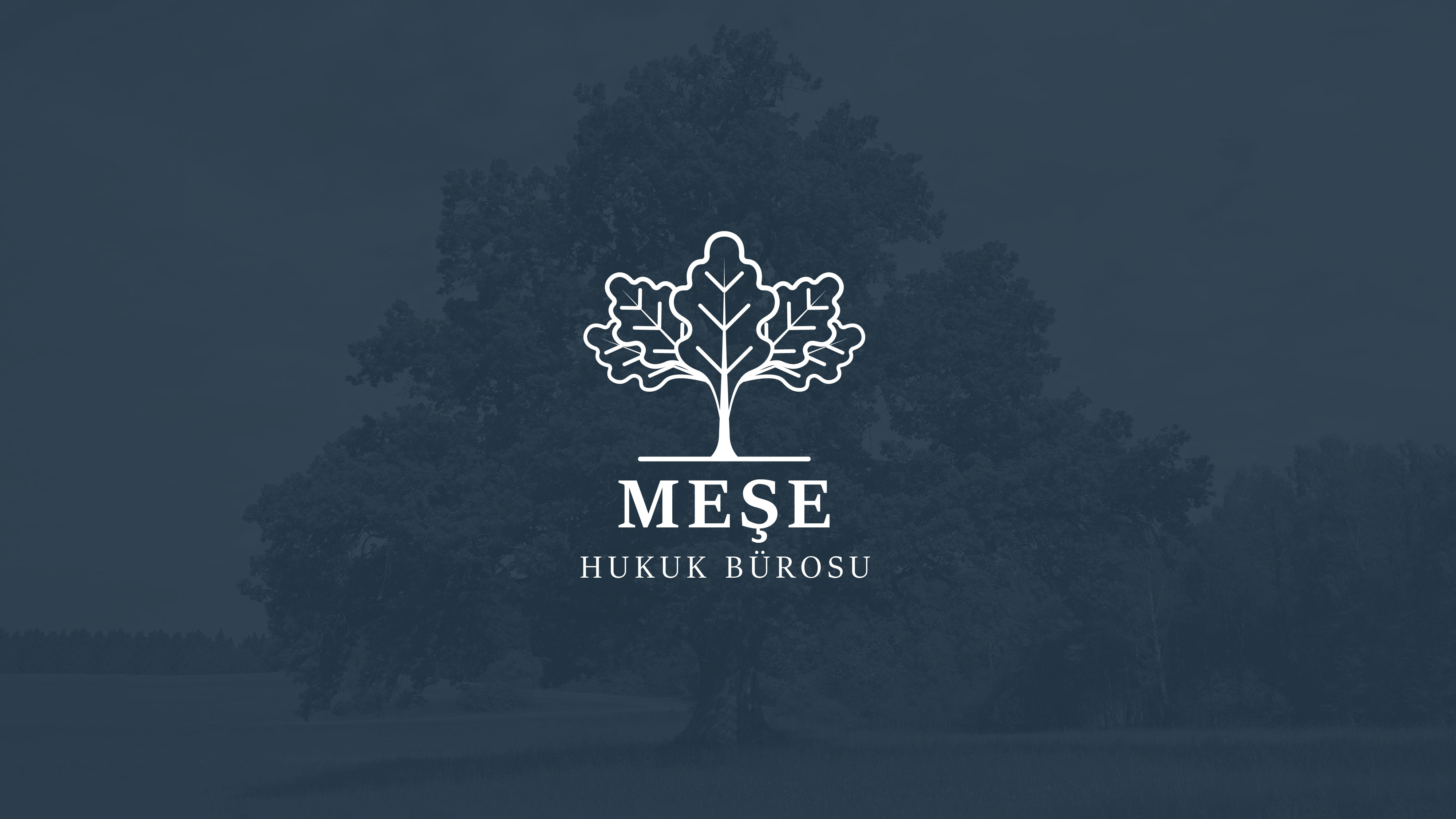 Meşe Hukuk Corporate Identity Project
